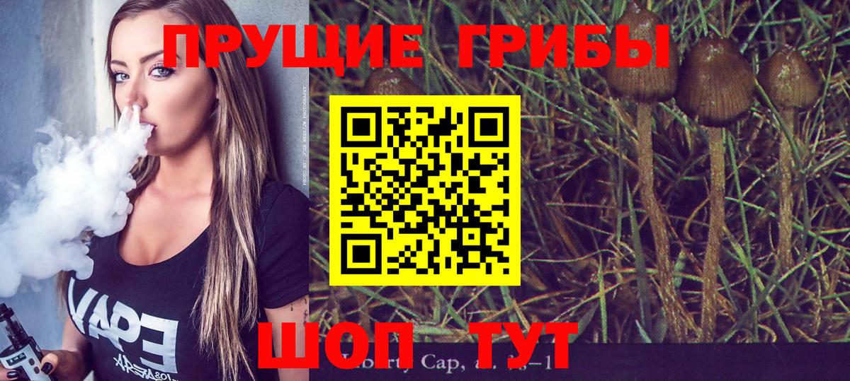 Галлюциногенные грибы мухоморы  Псилоцибиновые грибы Psilocybe  Вход с VPN  дарнет шоп  Нурлат 